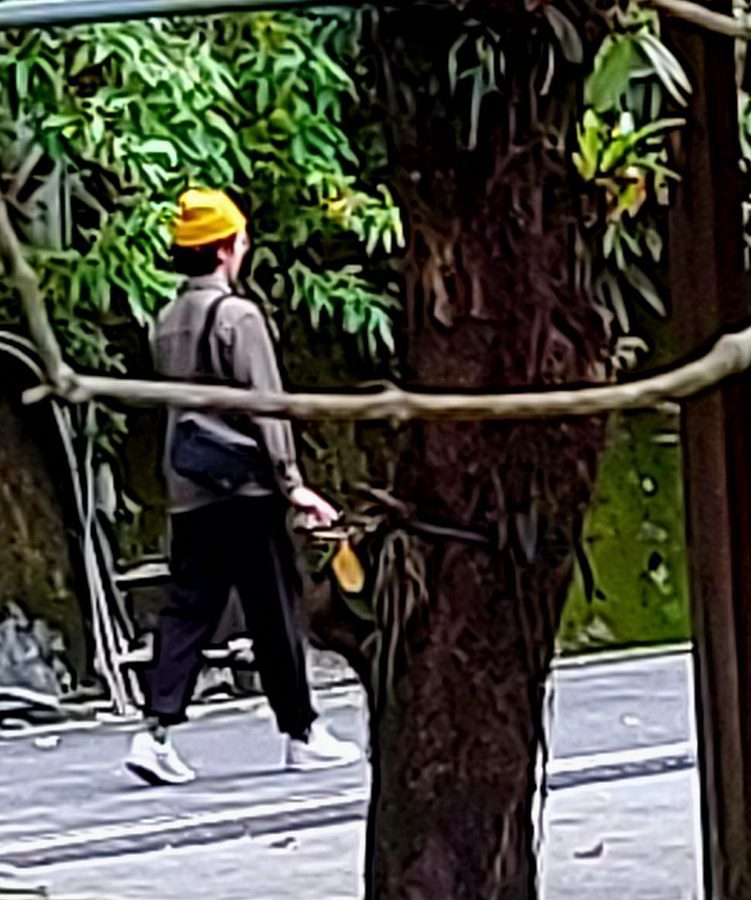 後山小調∕無人機失事　老朽出馬救難