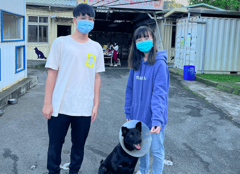 回春雙響炮方案  可享寵物終身多項優惠福利  鼓勵民眾無壓力照養
