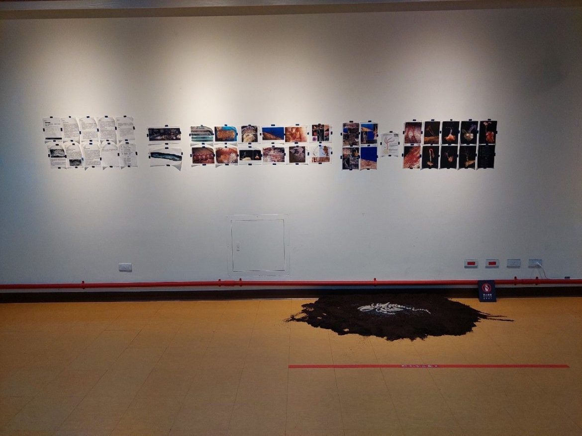 大葉大學視傳系策畫「自在之物」特展　年節到台中科博館開眼界