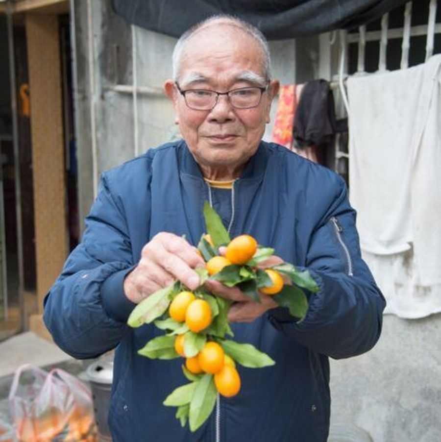 第18屆蘭陽金柑王評鑑　74歲王梓瑋八度奪冠