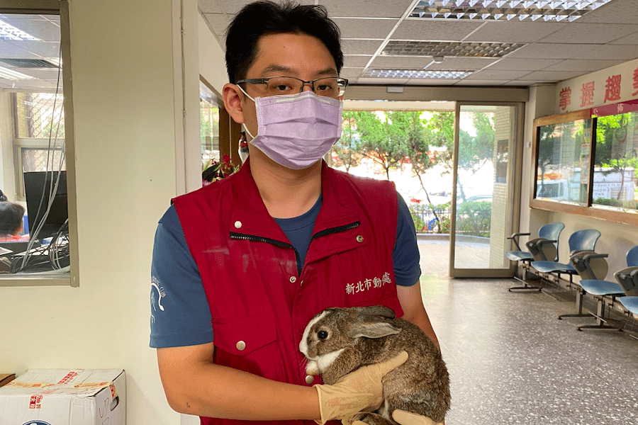 兔年養兔子請先評估   懂牠再養牠才是愛祂