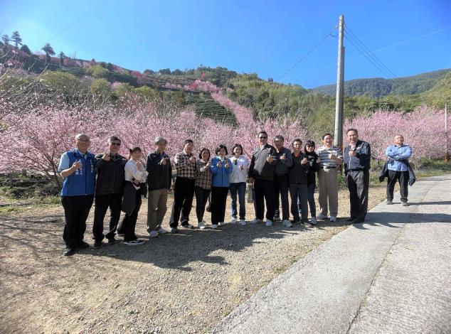 縣長張麗善今率府內一級主管至草嶺石壁踏勘，瞭解當地觀光設施需求，並體驗櫻花季的魅力。