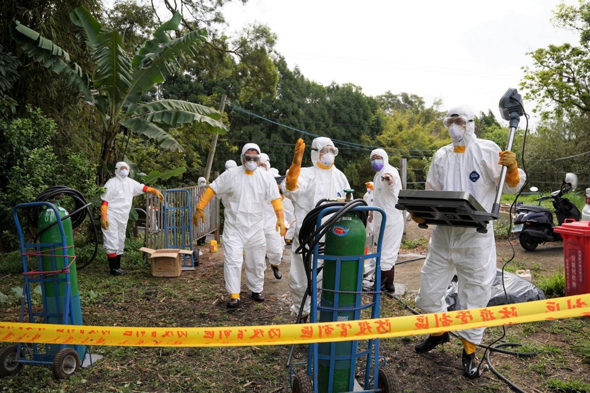 竹縣一處養禽場爆發禽流感  動保所全面撲殺防堵疫情