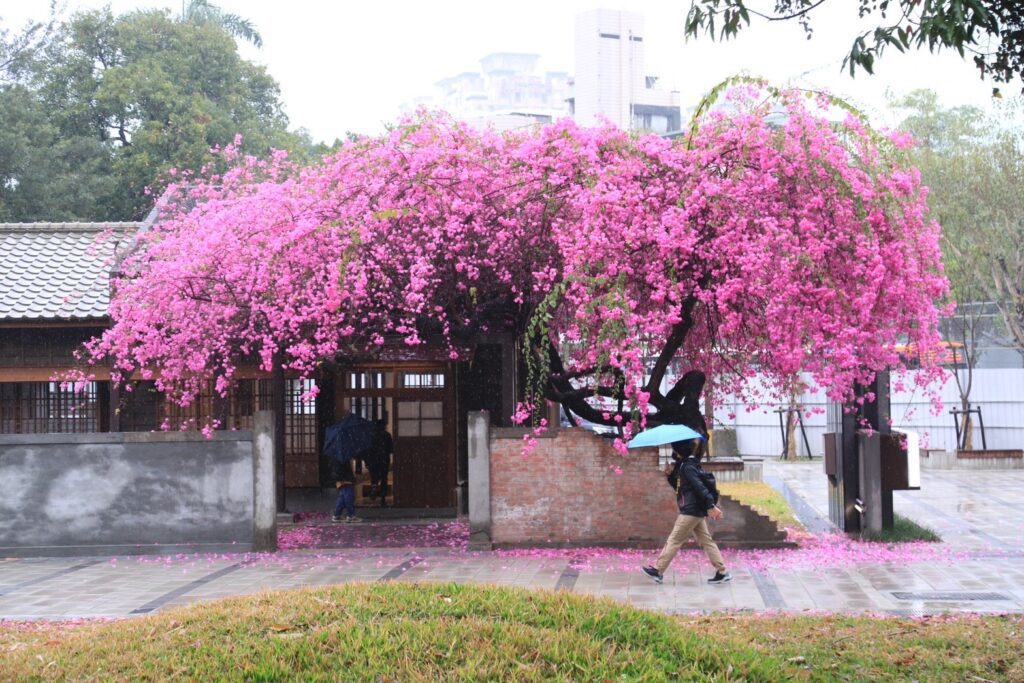 訪視臺中刑務所文化資產再利用 副院長鄭文燦：臺中國家漫畫博物館定案