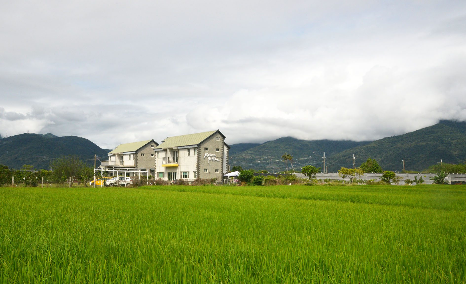 陳武雄弄影記 30-稻田中的民宿