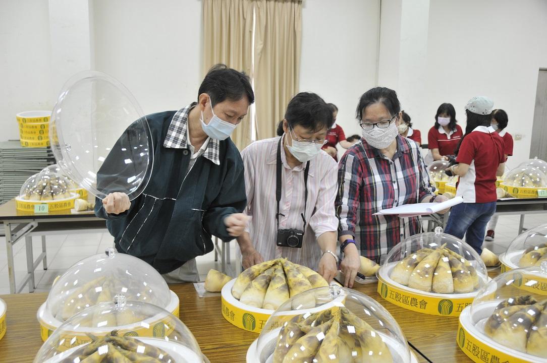 6月13日舉辦五股綠竹筍評鑑比賽  選出今年的五股 「筍王」