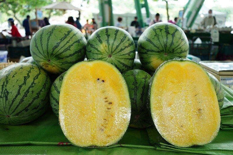 炎炎夏日將至 正是品嚐雲林鳳梨西瓜好時機