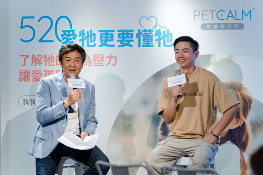 學會獨處更快樂！專家提倡狗狗相處新方式