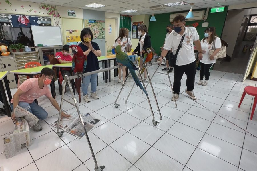 寵物輔助治療  鸚鵡與智協學員相見歡