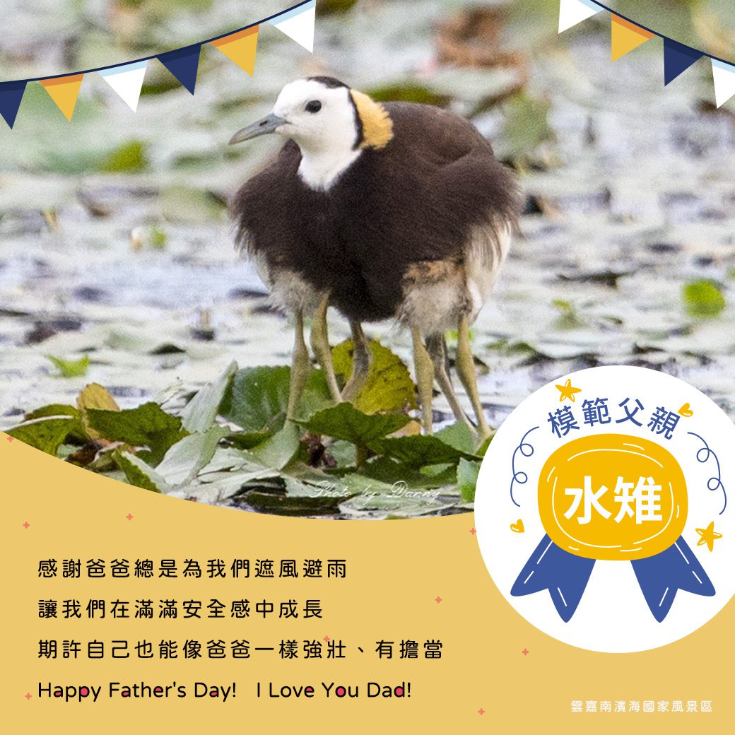 2023臺灣國際觀鳥馬拉松活動