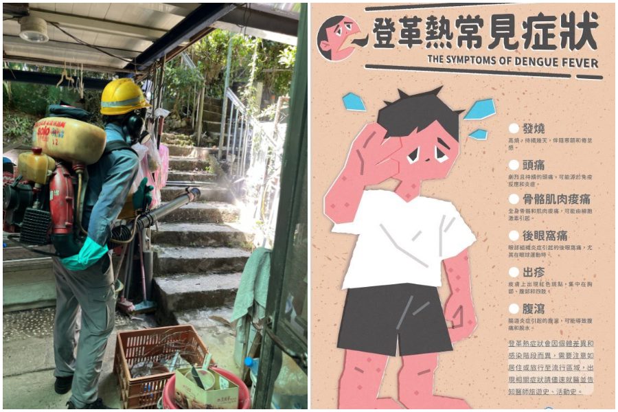 台北增第2例本土登革熱！文山區60多歲男「無中南部活動史」確診