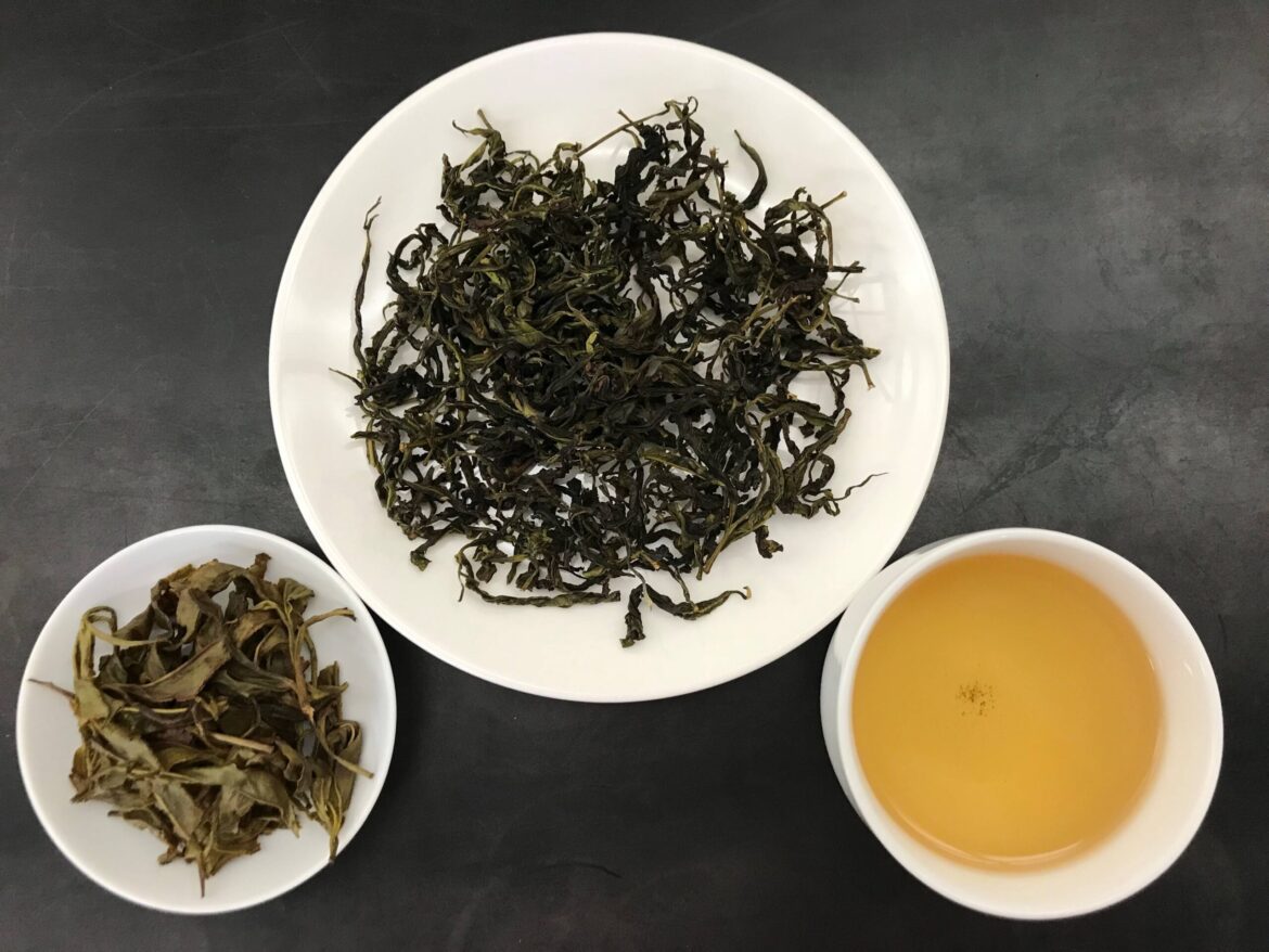 臺灣原生山茶「山蘊」轉身化作清香型烏龍茶 獨具多層次風味及口感