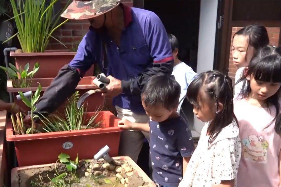 給桃園孩子埤塘夢　從微觀濕地生態槽開始