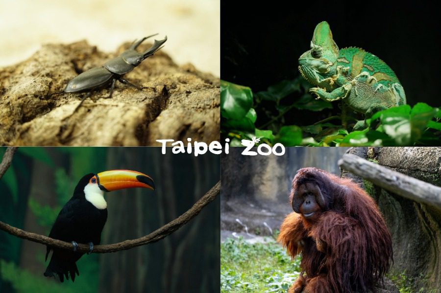 動物園圖書館推薦420冊好書　臺北動物園打造充滿教育意義的閱讀空間
