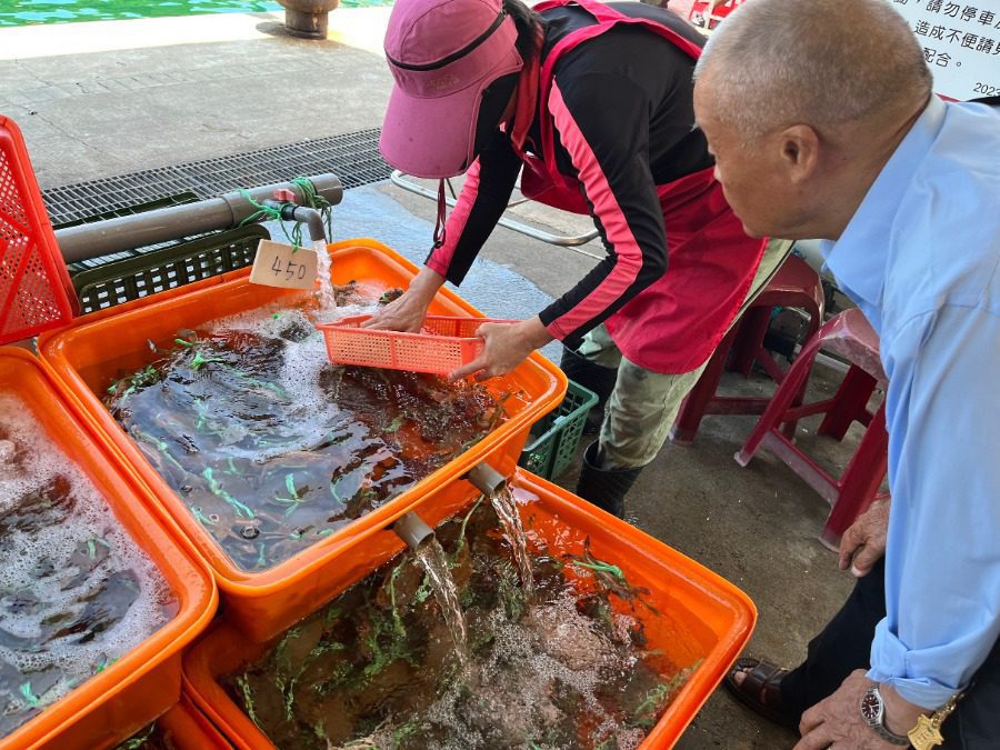 瑪鋉居尋蟹趣 漁村小旅行 萬里蟹愛好者的絕佳選擇