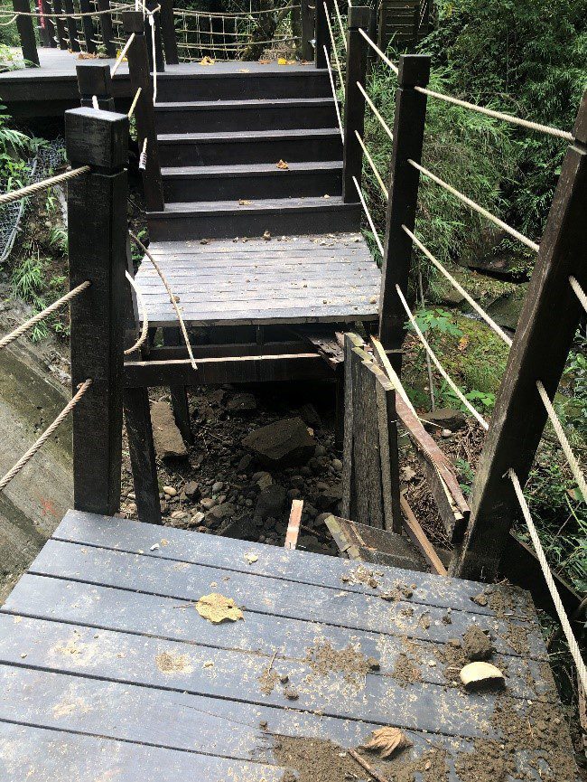 步道封閉整修　太平蝙蝠洞登山步道升級掛網護坡安全