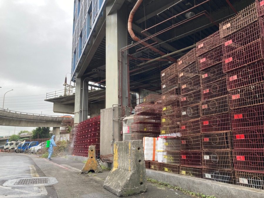 秋冬防禽流感：臺北市呼籲民眾共同參與預防措