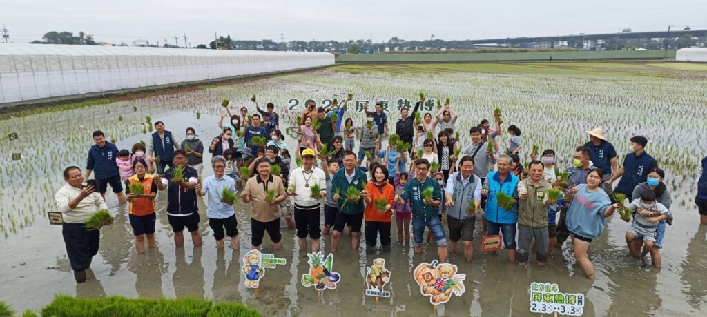 2024屏東熱博插秧喜迎經典泰迪熊登場　現場千碗免費美飯湯暖心又暖胃