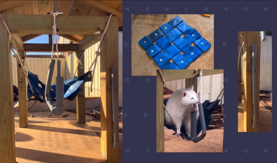 「2023動物行為豐富化大賽」：保育員創新行為豐富化設計　提供動物多元活動體驗