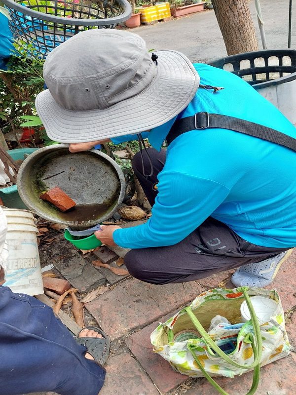 暖冬登革熱未歇　請民眾落實清除孳生源