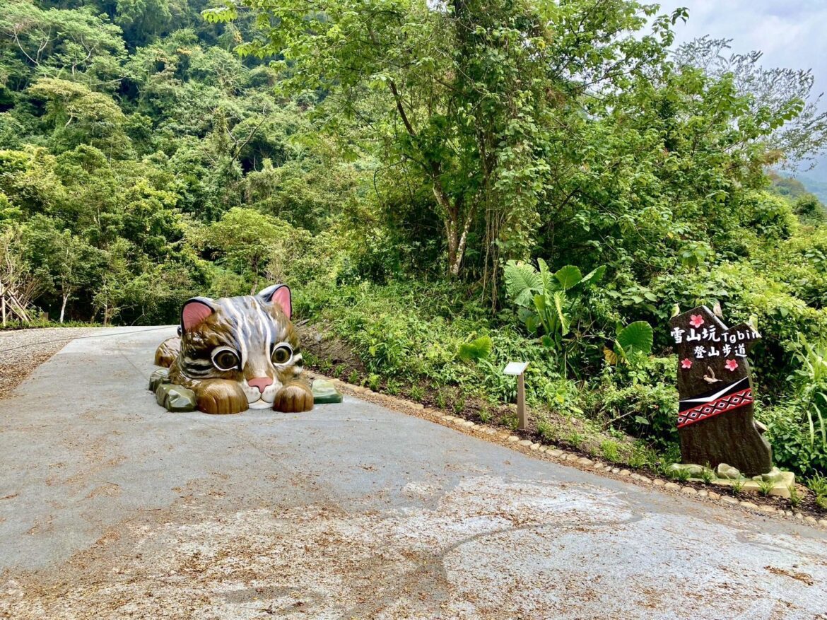 中市雪山坑一期步道開放通行　邀您探索山林秘境