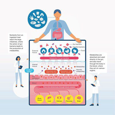 前沿腸道微生物組研究：NOSTER 公司为腸道細菌綜合代謝物和微生物群分析制定最新解決方案