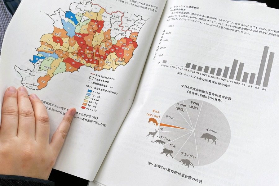 臺日攜手！千葉縣山羌困境   尋求臺灣經驗協助