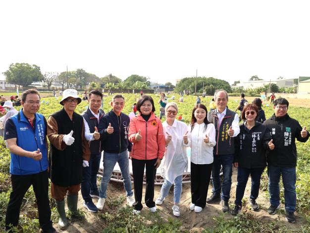 雲林縣千人拔花生迷宮探險　響應食農教育