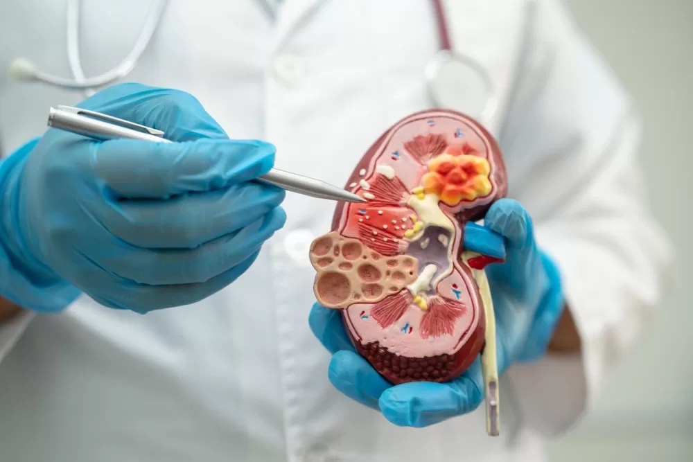 慢性腎臟病別灰心 高齡長者都能逆轉腎！
