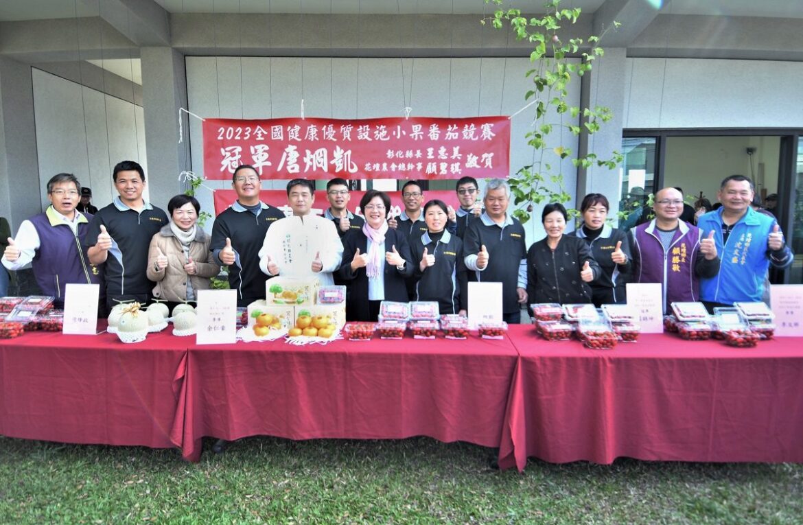 全國冠軍小果番茄在彰化　凱哥開心農場品嚐當季的小果番茄