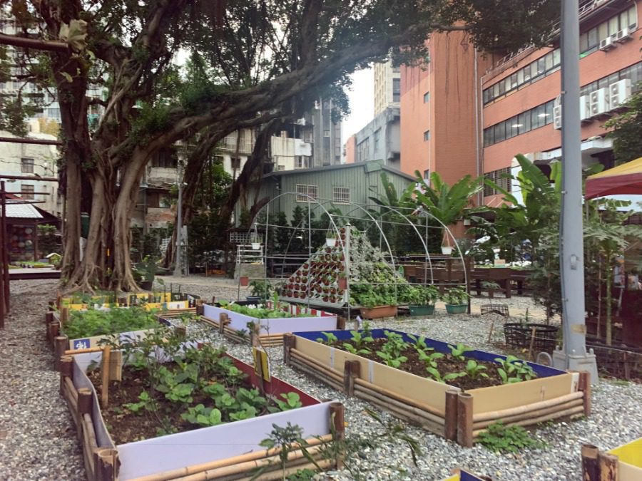 共創綠意未來：台北市政府財政局推動市有土地綠美化計畫