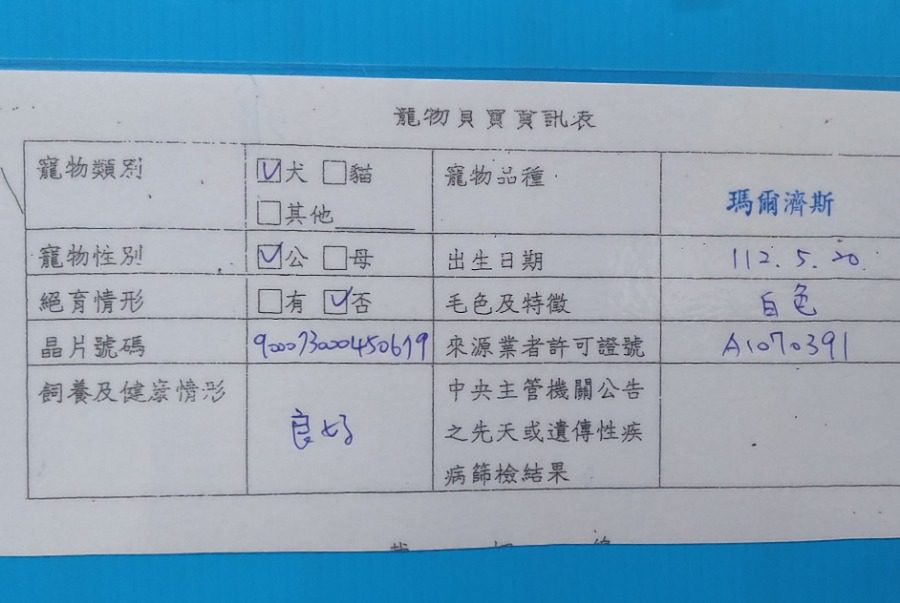 動保處揭露非法販賣：利用認養規避法令