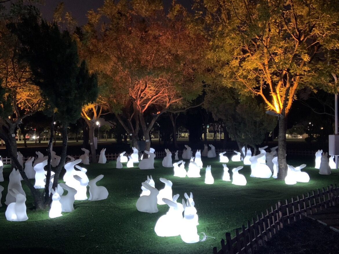 台中中央公園「兔兔燈」撤展倒數　把握最後拍照機會
