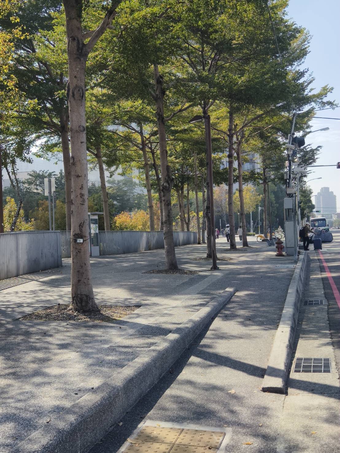 中市行人友善環境再獲肯定　道路無障礙環境考評再獲中央5獎