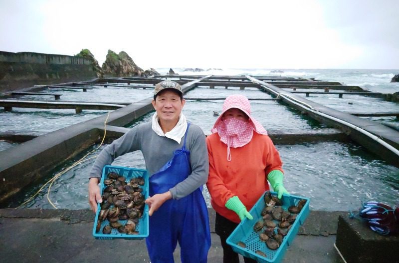 東北角美食之旅：漁港寶庫的海鮮饗宴