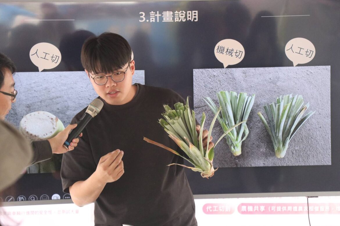 鳳梨切苗機械化發表會　嘉義青農創新克服缺工