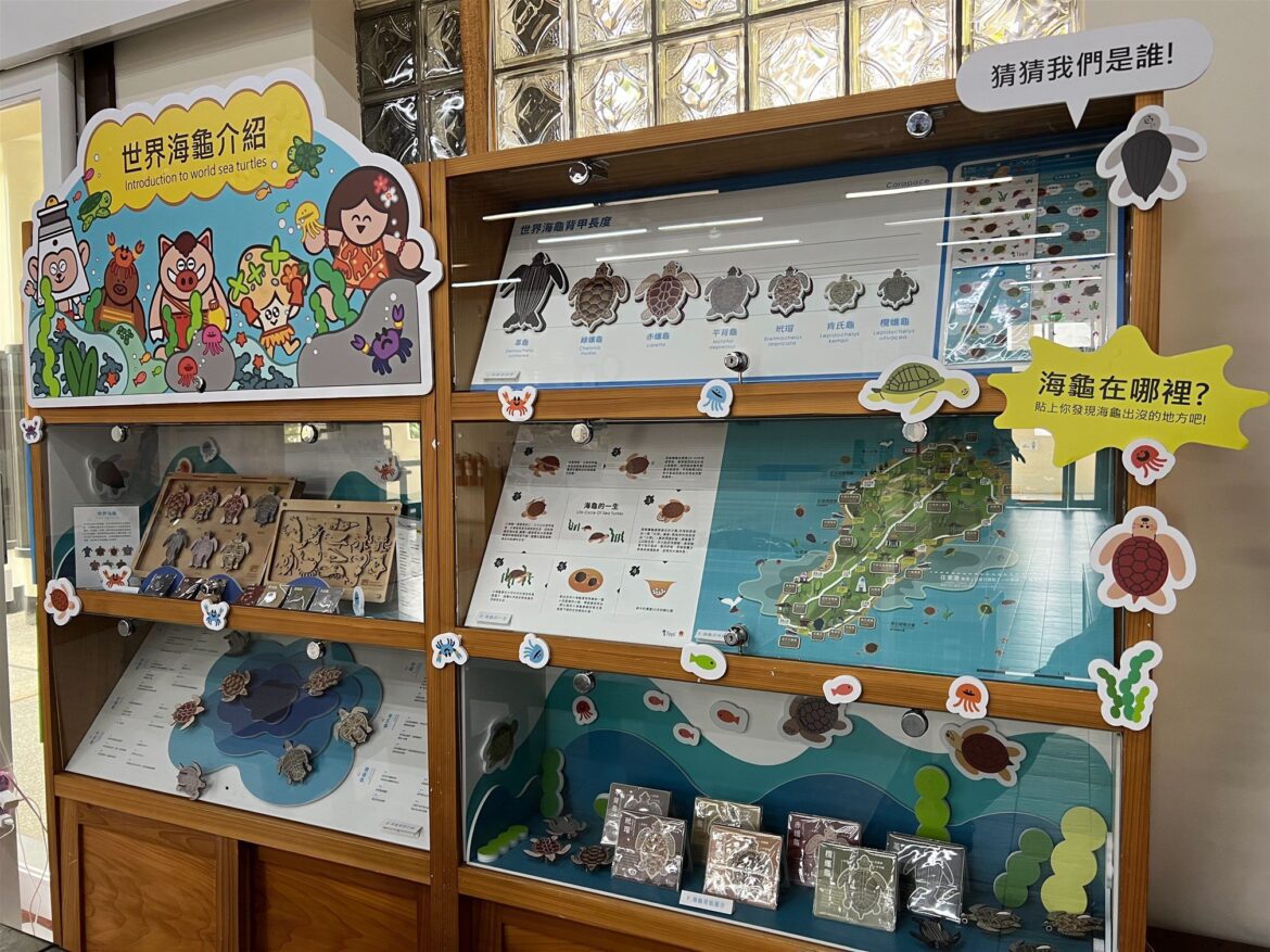 讓遊客更了解海龜　小琉球遊客中心打造「世界海龜介紹」櫥窗