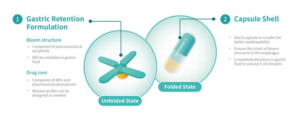 三迭紀3D列印胃滯留藥物產品T22獲批FDA IND，以3D列印技術切入長效胃滯留賽道