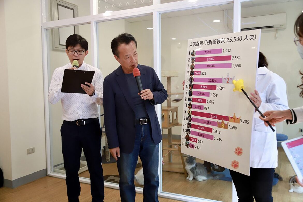 喵星人認養抽籤競爭激烈　15隻貓咪找到新家