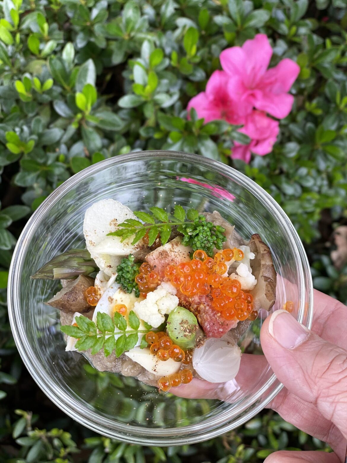 台中米其林入選餐廳飛花落院歡慶三週年  藍花楹、製茶人、料理入魂