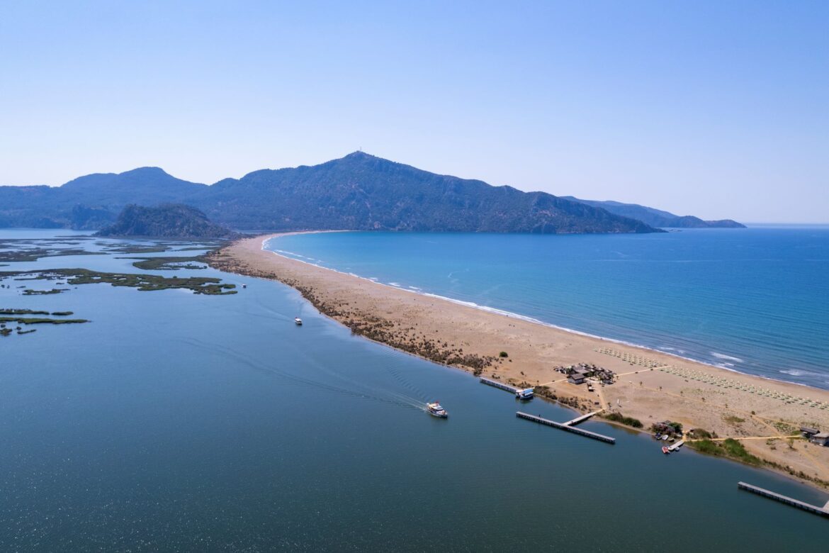 一年一度赤蠵龜產卵季在土耳其里維埃拉海灘展開