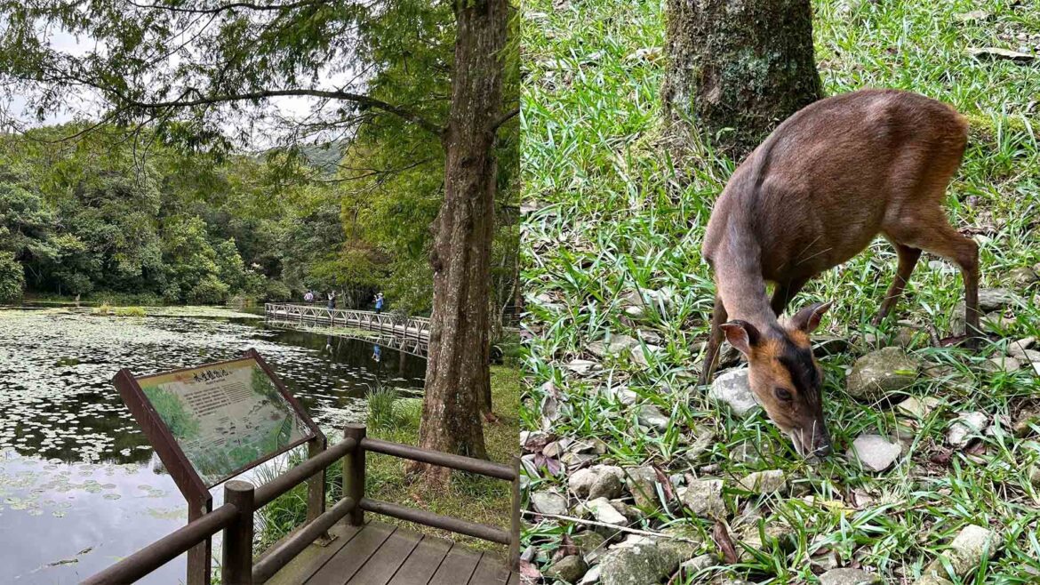 山陀兒颱風來襲  福山植物園9月30日至10月2日預警性休園