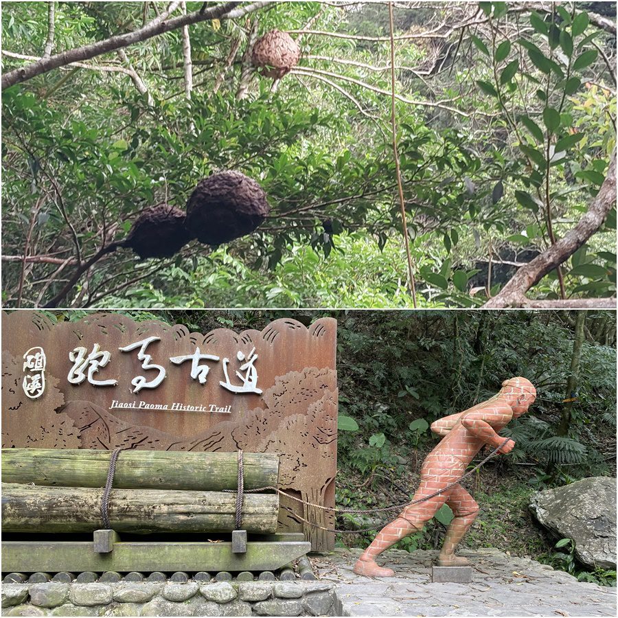 虎頭蜂窩+崩塌　礁溪跑馬古道0-3K封閉