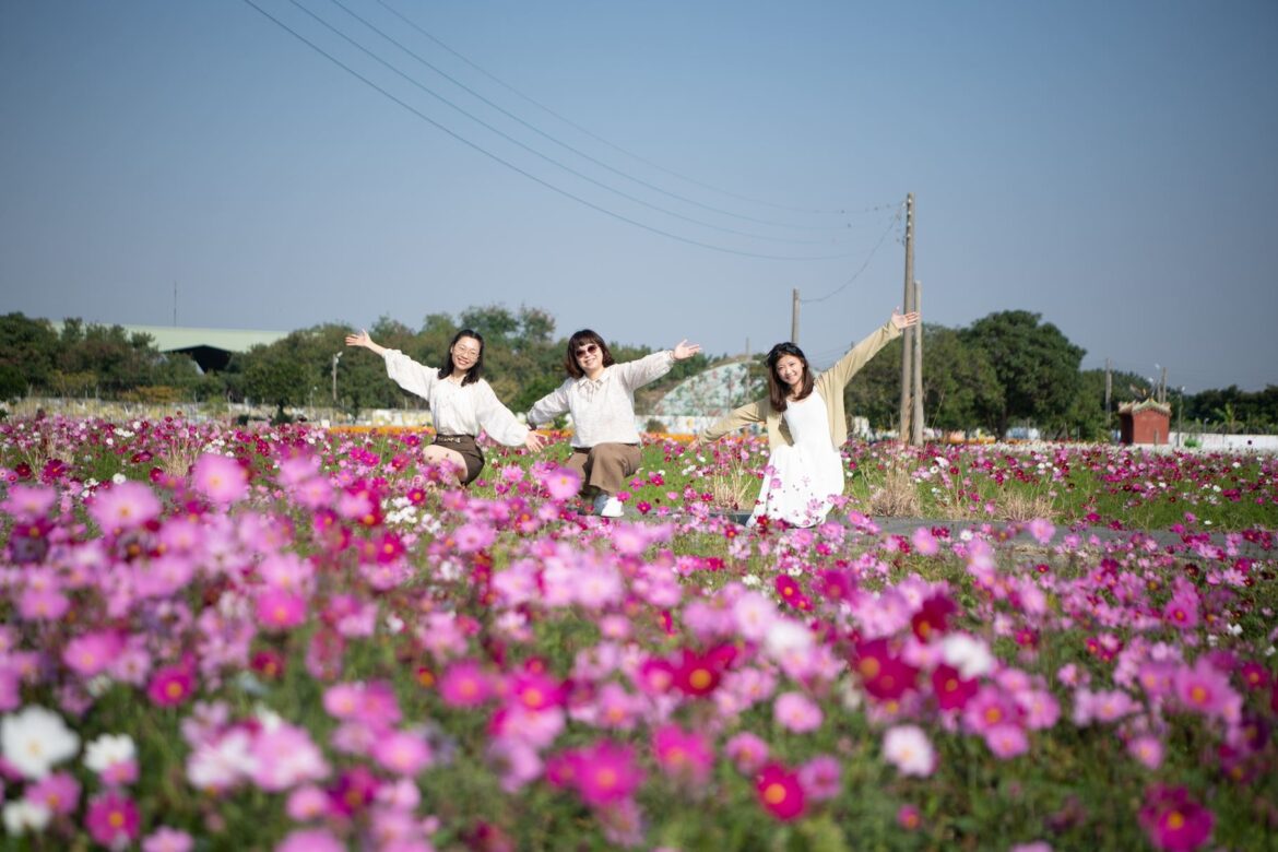 2024嘉義花海生活節花卉綻放七成　拍美照、吃美食來嘉一把罩