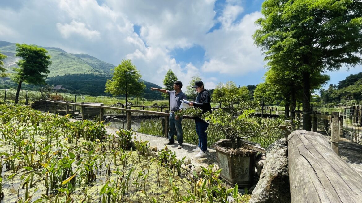 守護珍稀物種赤腹游蛇  官民攜手保育現成果