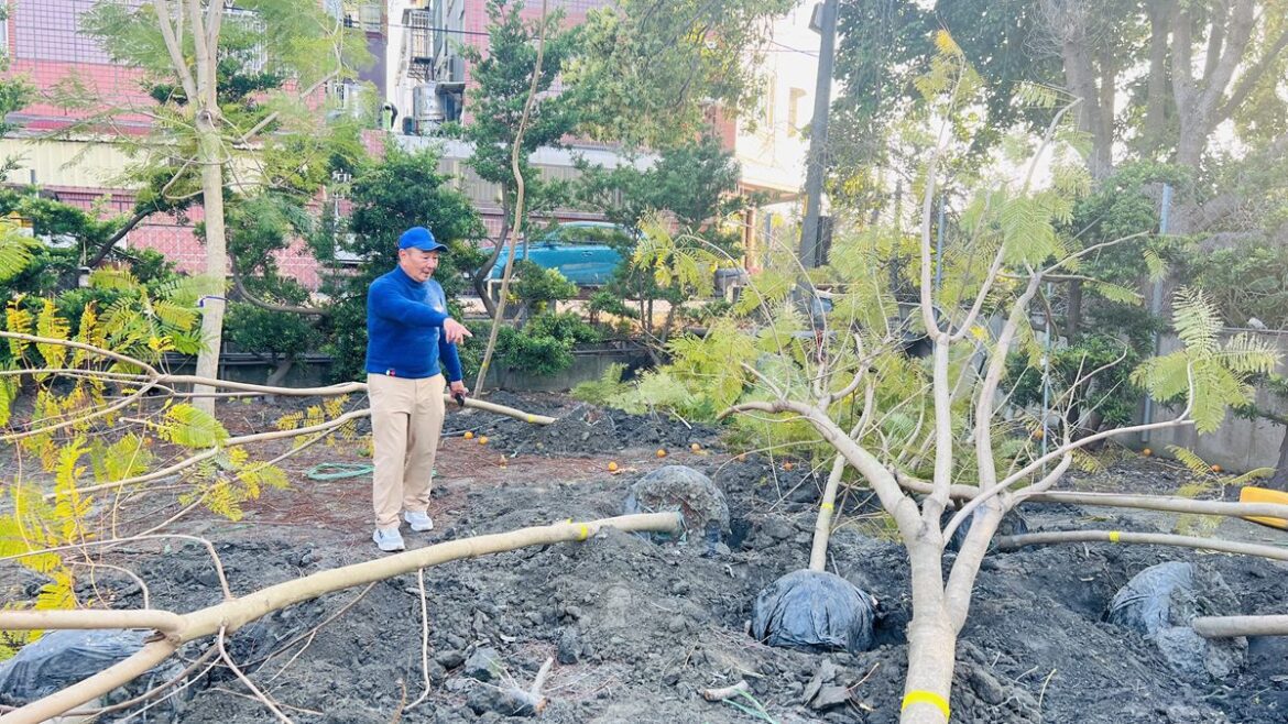 提升城鎮景觀　二林鎮舉辦「藍花楹種樹植福活動」