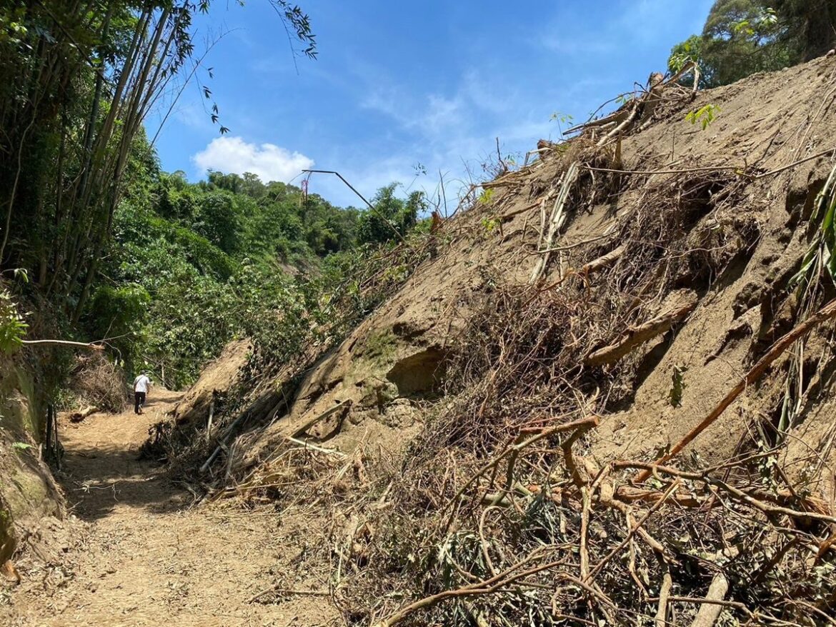 杜絕山坡地違規開發　週報制度上路加速查處