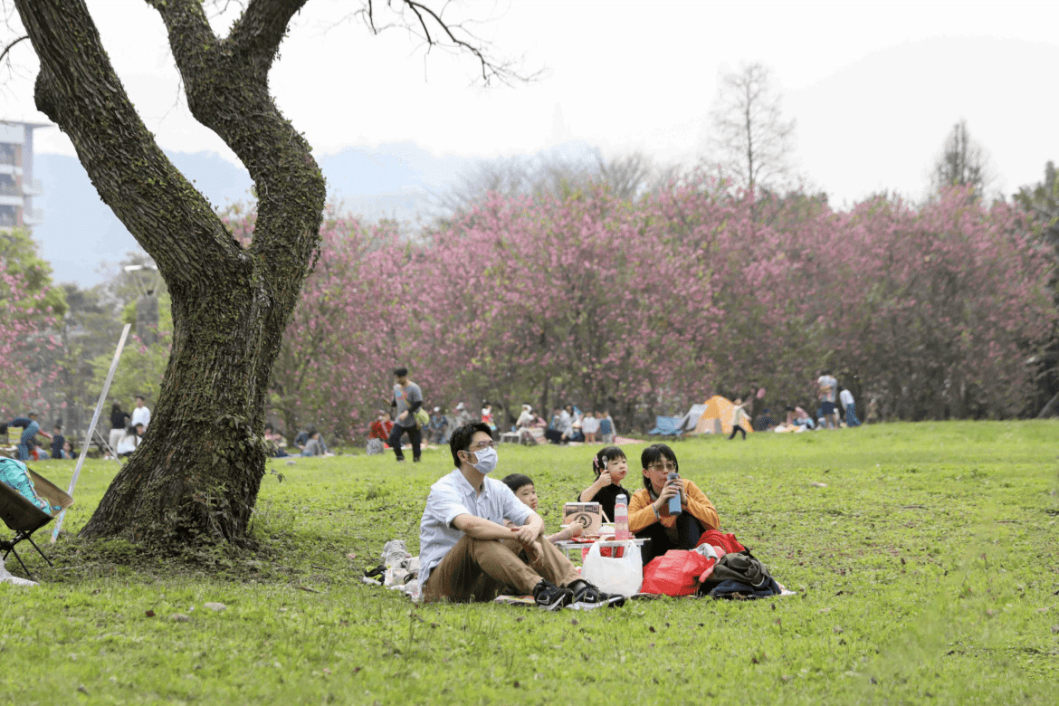 茶迷集合     三峽「Hō你有春」綠茶季 DIY、親子體驗、野餐一次滿足