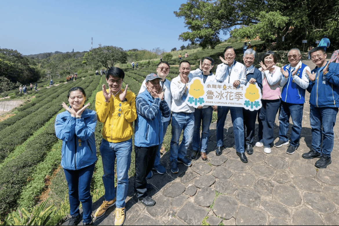龍潭魯冰花海綻放     張善政邀民眾賞花體驗客庄風情