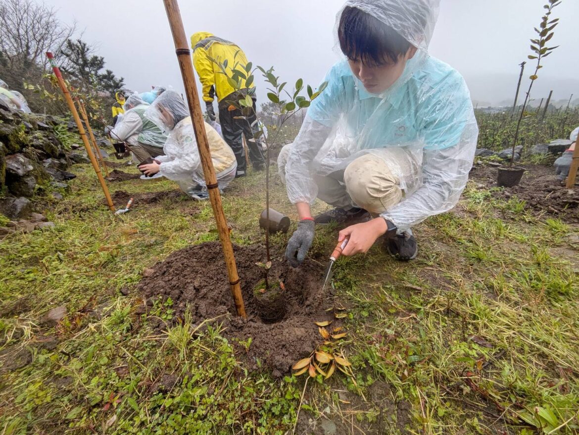 響應環境永續倡議  玉山金控連續七年捐款協助森林復育